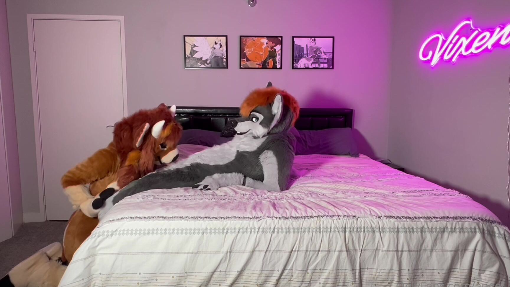 Angel Pups 953147887 I Hope I Didn T Break His Pelvis Thank You To The Commi 01 0Hn7Otr7Mndn923Al6Uah Source