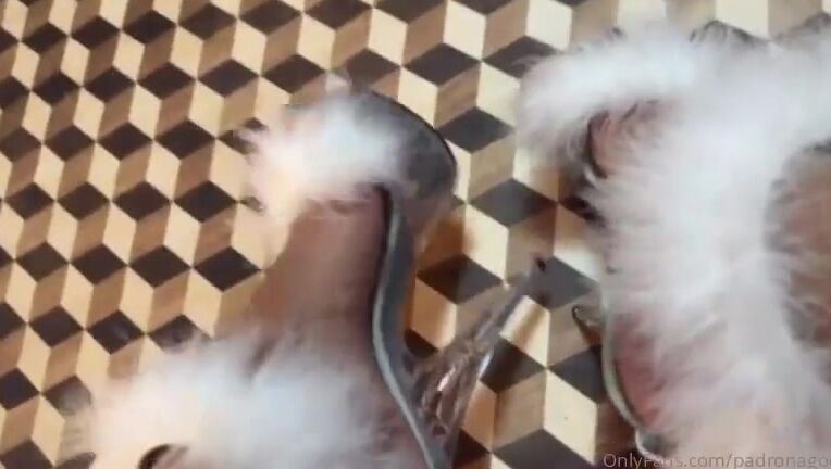 Mistress Desideria Godiva Nicknamed Padronagodiva 07 25 2024 Onlyfans Video Tacchi Alti Con Peluche Bianco