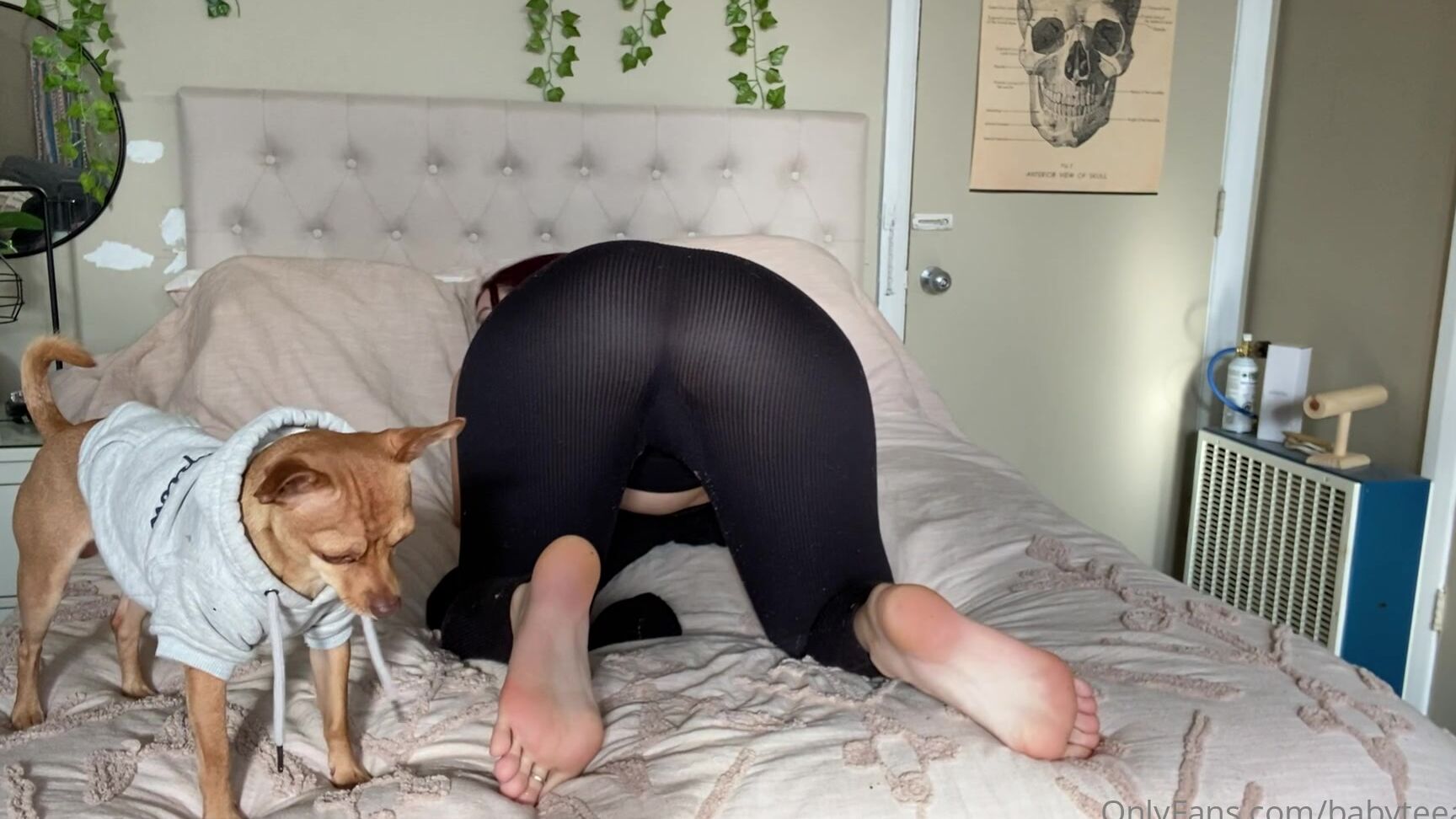 Babyteeasmr I Got Dressed Just To Get Undressed