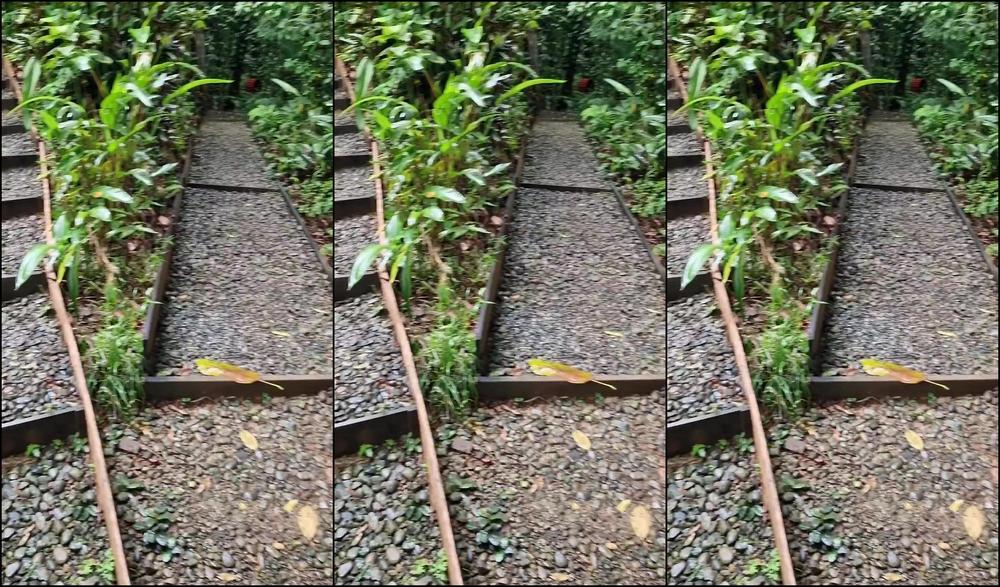 Travelling Peach 3433667354 08 08 2024 I Spent Two Days In The Jungle I Ve Always Wanted To Sleep In A Tree House