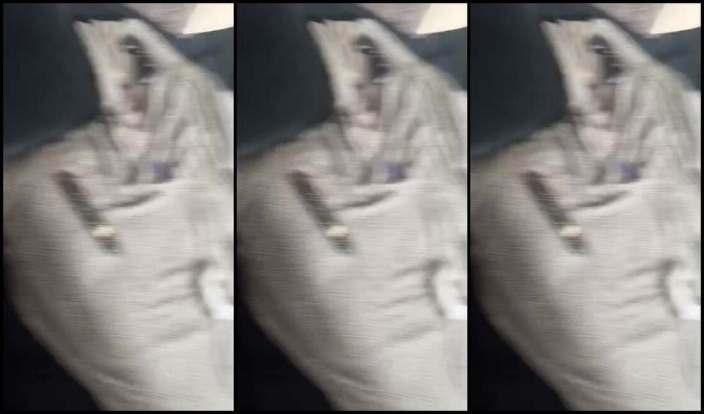 Daddy Serena Nicknamed All4Serenab Femdom 05 10 2023 Onlyfans Video Giddy Up Nylon Slut All It Can Smell Is My Superior Feet Which Have Marinated