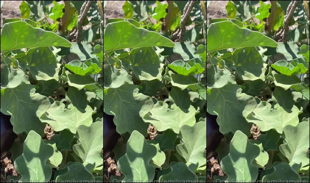 Emilyamateur Warning No Fucking And Very Little Nude In This Video This Morning I Went To My Garden