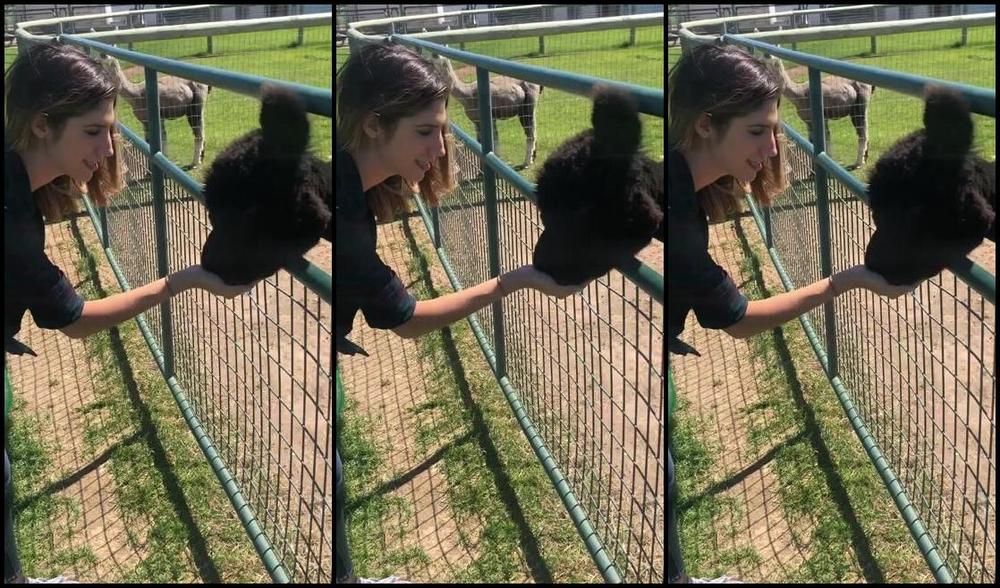 Luxuriouslexi Nicknamed Luxuriouslexi Onlyfans Vid A New Lexiholic In The Making Wr