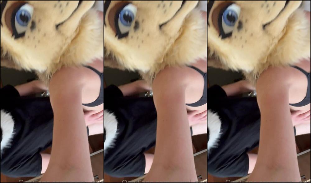 Angel Pups 600103380 Yeah Definitely Keeping Him Around 02 1633C68D Cb96 4868 B977 9B1E53E809B9