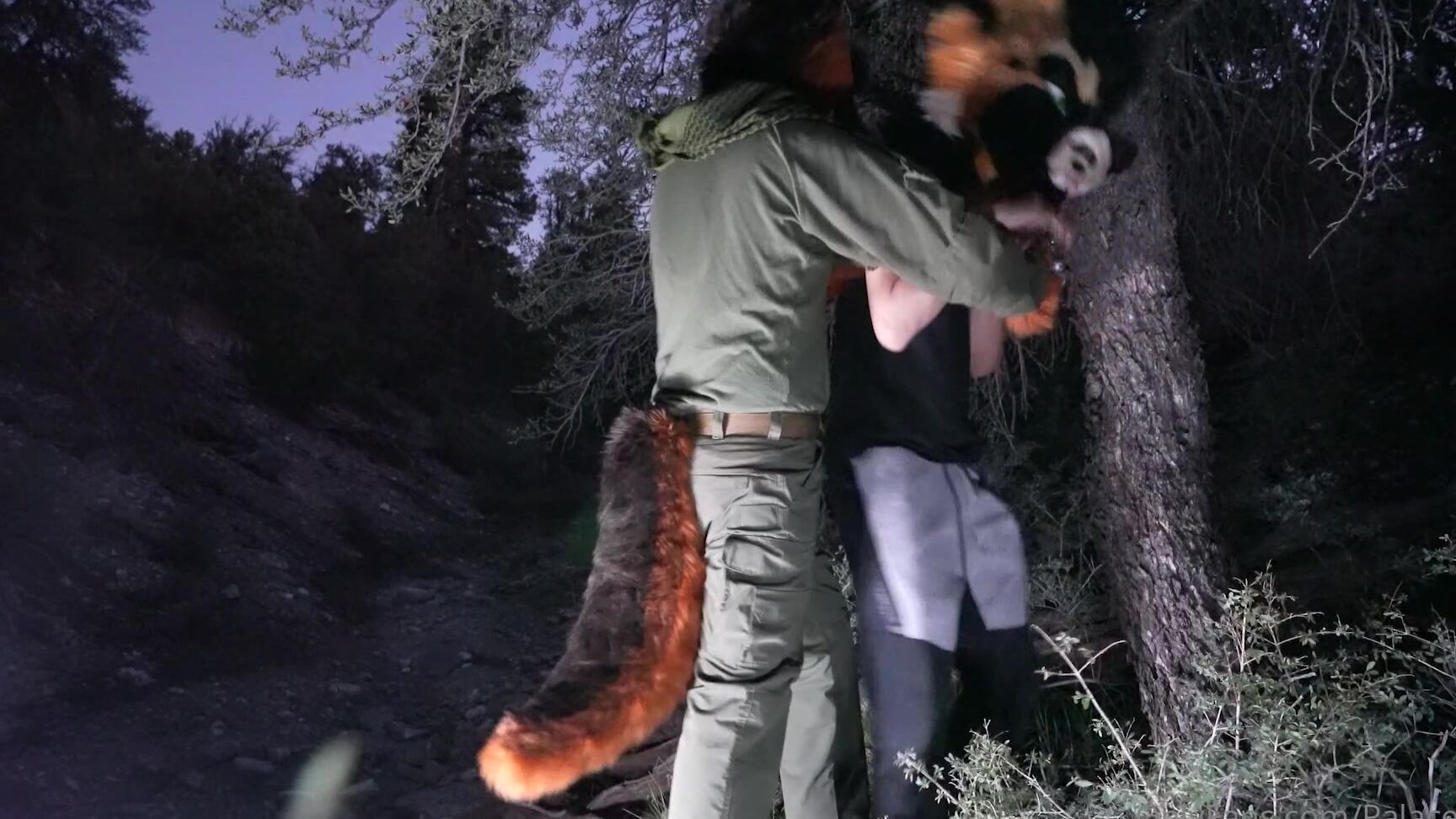 Palacewolf 421228880 Lost Shepherd Gets Rescued In The Woods And Only Has One Op 01 A3F52C84 Ba28 4B60 B74B 893C6Da03E4A