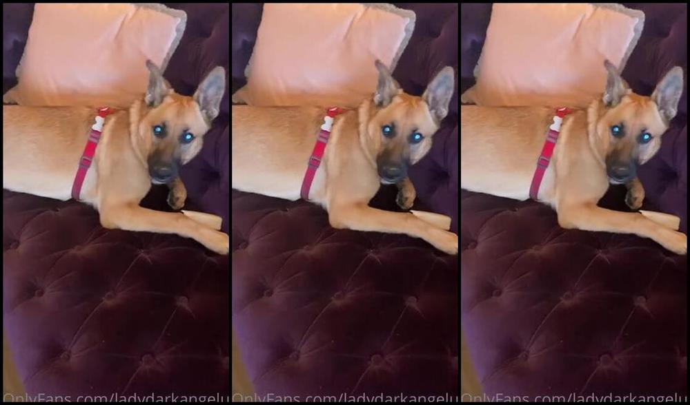 Ladydarkangeluk Onlyfans Madam Is Being So Blooming Naughty And Boisterous And Full Of Energy This Morning