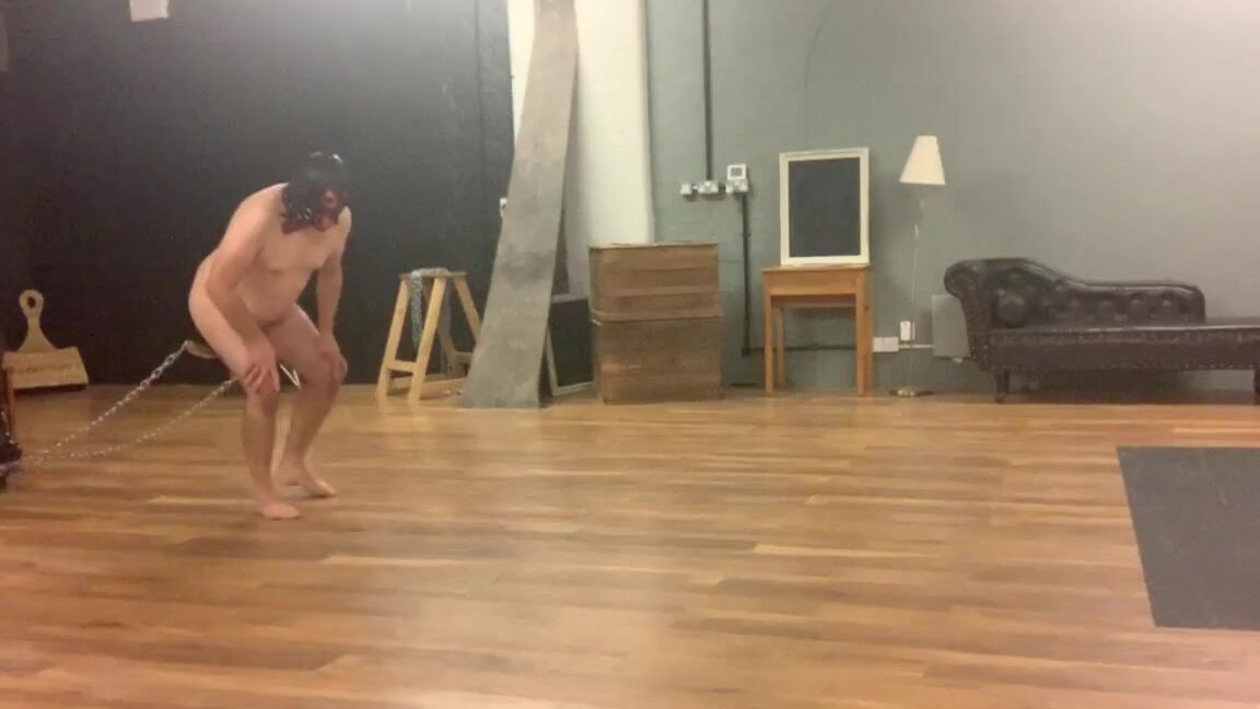 Ladydarkangeluk Onlyfans The Other Clip Of Me Trying Out My Slave Pulled Chariot Ha Ha Ha Ha Can T Stop Laughing