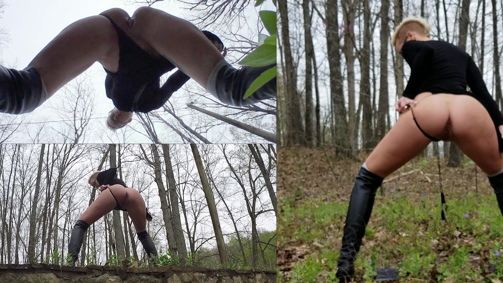 Aglaeagroup Miss E Longer Wee