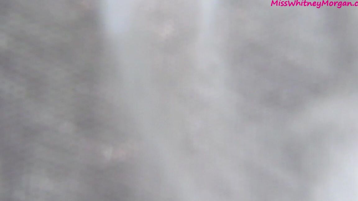 Misswhitneymorgan Whitney Attack Of The Wedgiesaurus