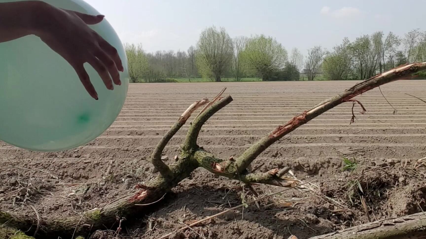 Linaroselina B P With A Surprise