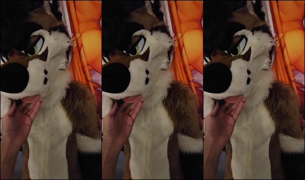 Palacewolf 810044237 Skit The Party Hook Up You Ever Just See Someone Whil 01 2C9C374A 9D08 4569 89B9 Bcaea5E36D47