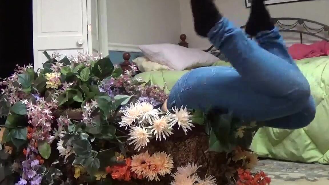 Sarah Michelle The Burglar Trap