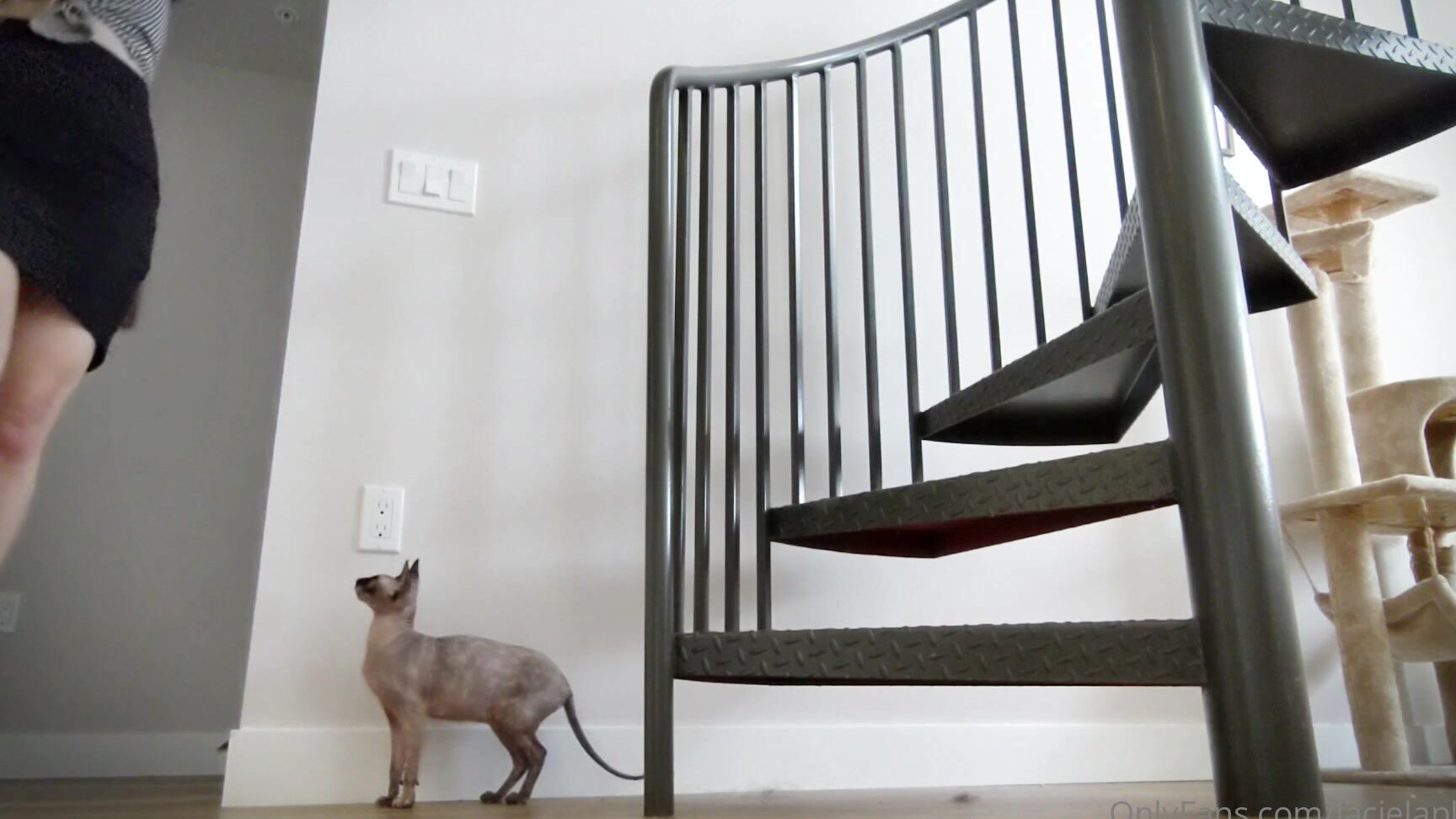 Lacielaplante Best View In The Office