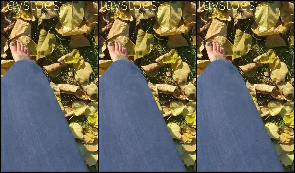 Tays Toes Nicknamed Taystoes 11 11 2020 Onlyfans Video Barefoot Leaf Crushing I Filmed This Last Week And It Just Didnt Come Out As