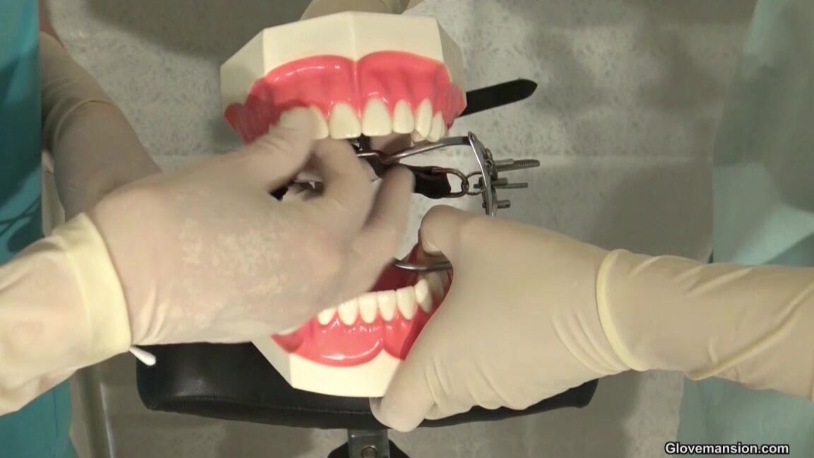 Glovemansion Our Dental Patient Pov
