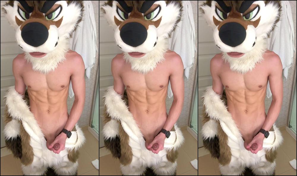 Palacewolf 1498231342 Welcome In All You New Folks Hope You Enjoy Everything You S 01 0Hxrz9Lxentjpsgjqi6Om Source