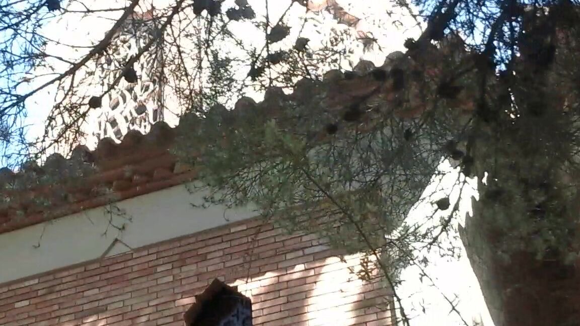 Anal Masturbation, Orgasms, Public Outdoor, Redhead, Squirt nandoandsara buy this video amp get all videos ManyVids