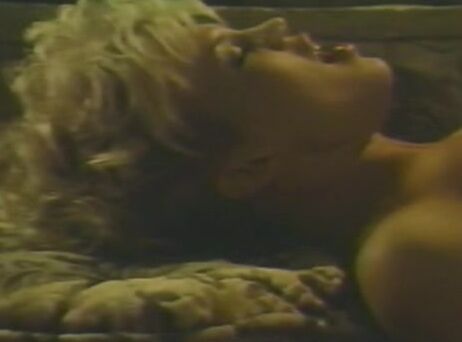 "Amber Lynn, Blondi, Gail Force, Jeanette Littledove, Pat Manning, Blake Palmer, Buck Adams, Peter North, Tony Montana, J.R. Kufahl" Feature, Classic, Straight Erotic Dreams Hollywood Video /