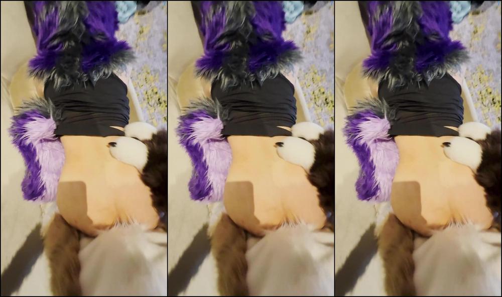 Palacewolf 0I3Zd1Z6Admbiy9Xxyoww 1920