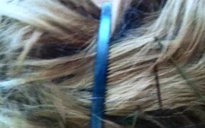 Charlotte Fox Sucking Cock Ending With Facial