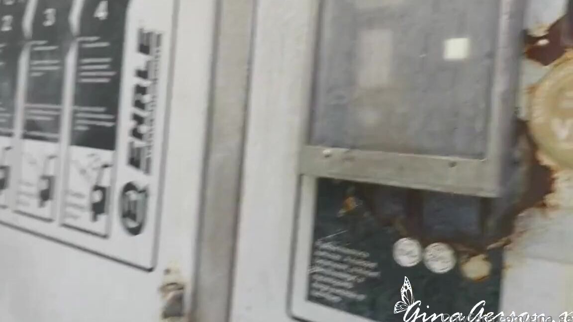 Gina Gerson What Is My Life Story Situation