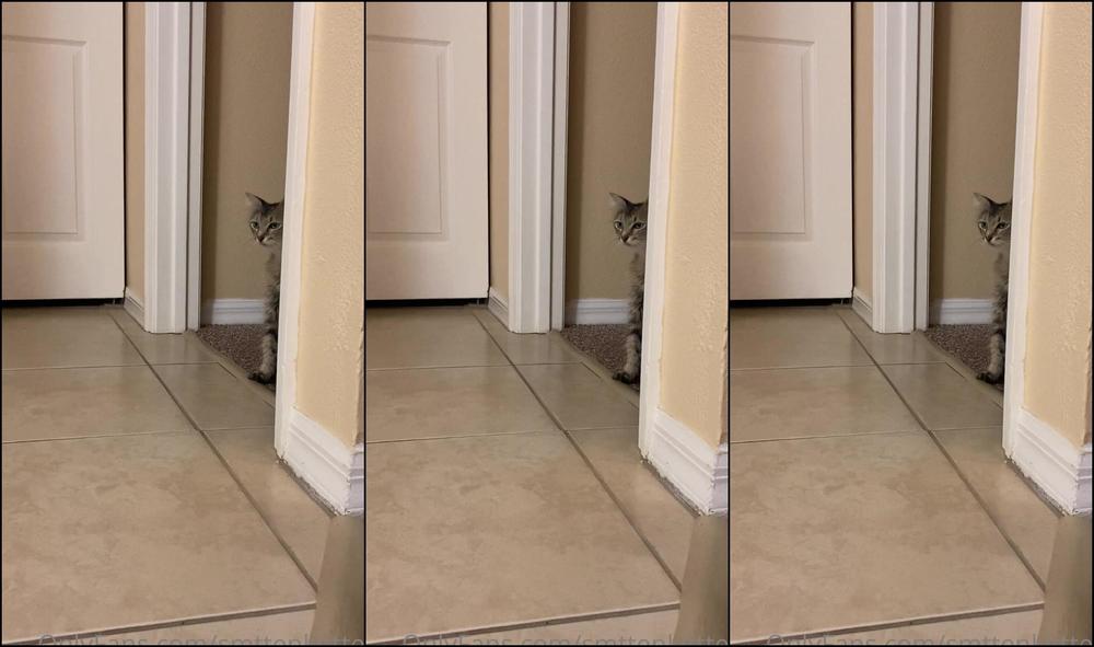 Mollymaeve So If Anyone Was Wondering My Foster Family Is Doing Literally Soooo Good They Re At