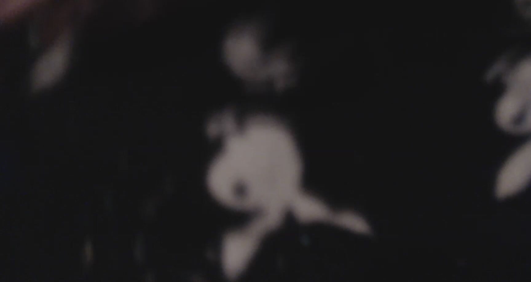 Camgirlkitten Toenail Tiny Scissor Nov Rd