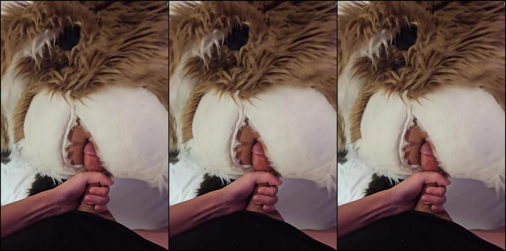 Palacewolf 810590775 Full Video The Party Hook Up You Ever Just See Someone 01 2F644619 E47B 4Dfb Bdb2 75A67674689A