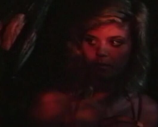 "Diva, Ginger Lynn, Jerry Butler, Stacey Donovan, Rene Tiffany, Crystal Holland, Lois Ayres" hardcore, lesbi, gangbang Surrender in Paradise. Svetlana SiteRip