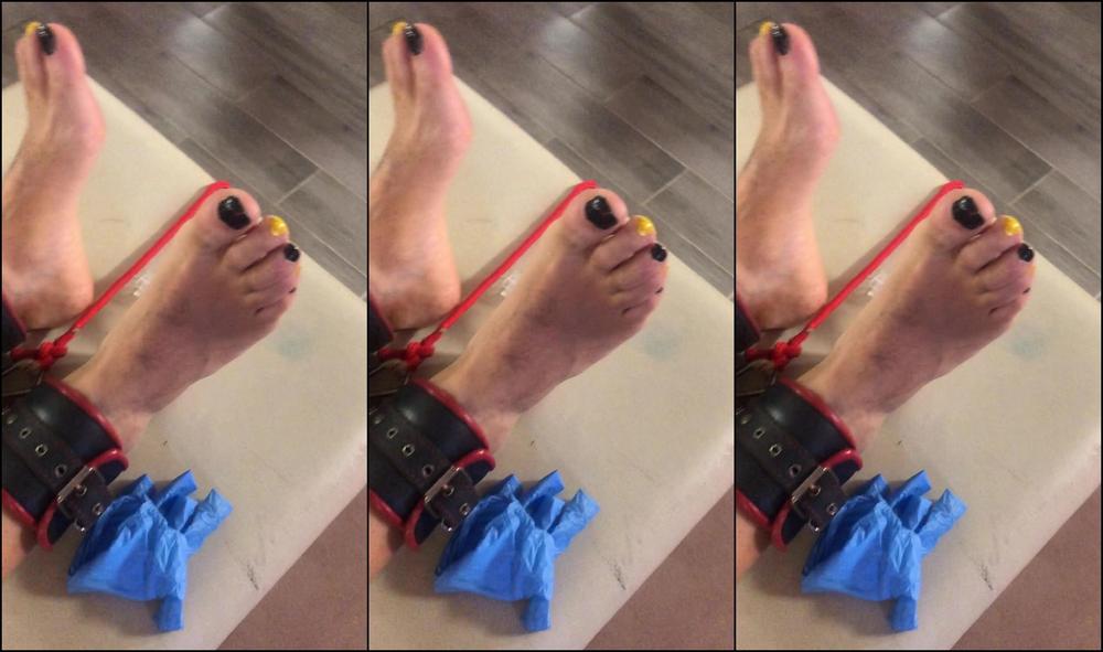 Gaiapadrona Ancora Video Di Ieri Tickling Cane Bastinado Pain Suffer