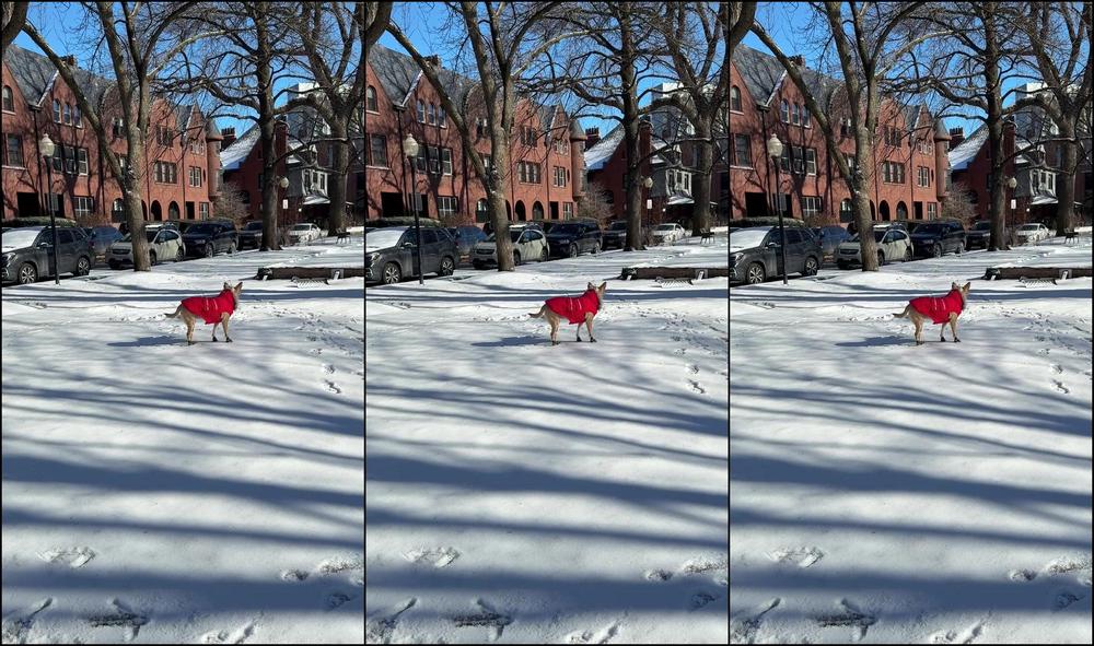 Peachdumpling1 0Hxvacs4291Fw4Qve7Cut Source