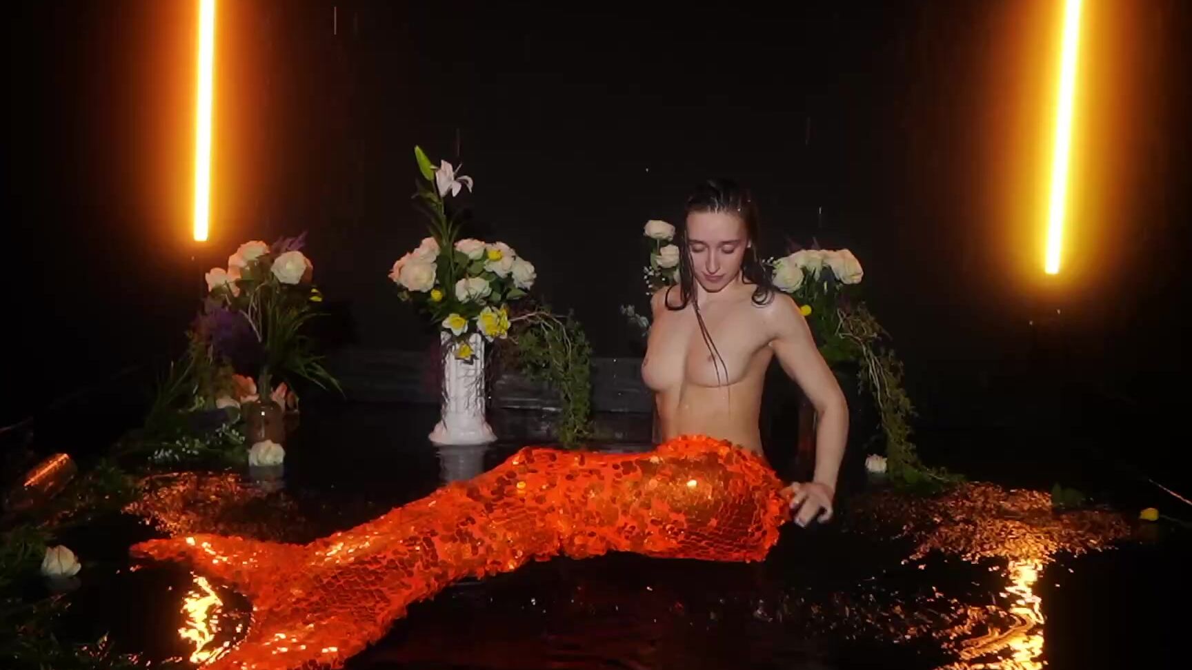 Meganmeow 2025 05 17 00 26