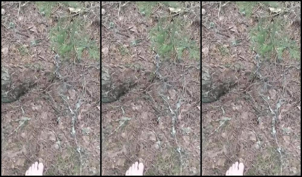 Frejas Submissive Feet Nicknamed Frejassubmissivefeet Onlyfans A Little Walk In The Forest Today In The New Warm Weather