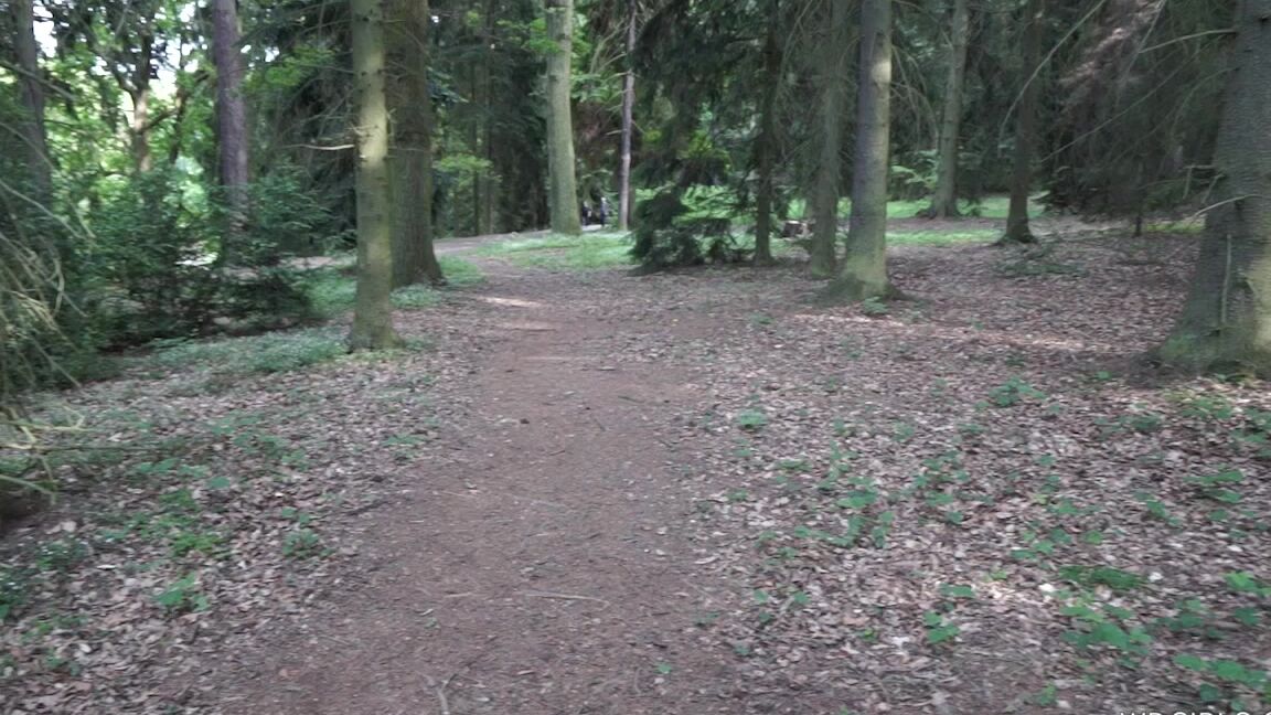 "Mix" Complete project Petra_1 SiteRip