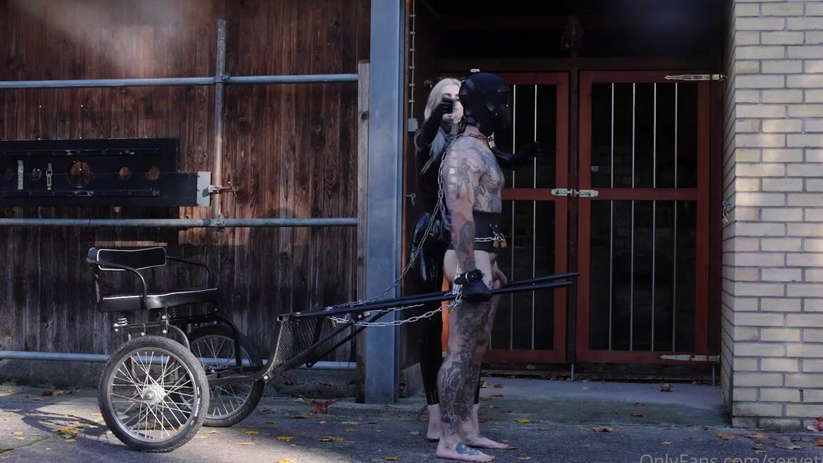 Mistress Trinity Nicknamed Servetrinity Onlyfans My Preferred Mode Of Transportation