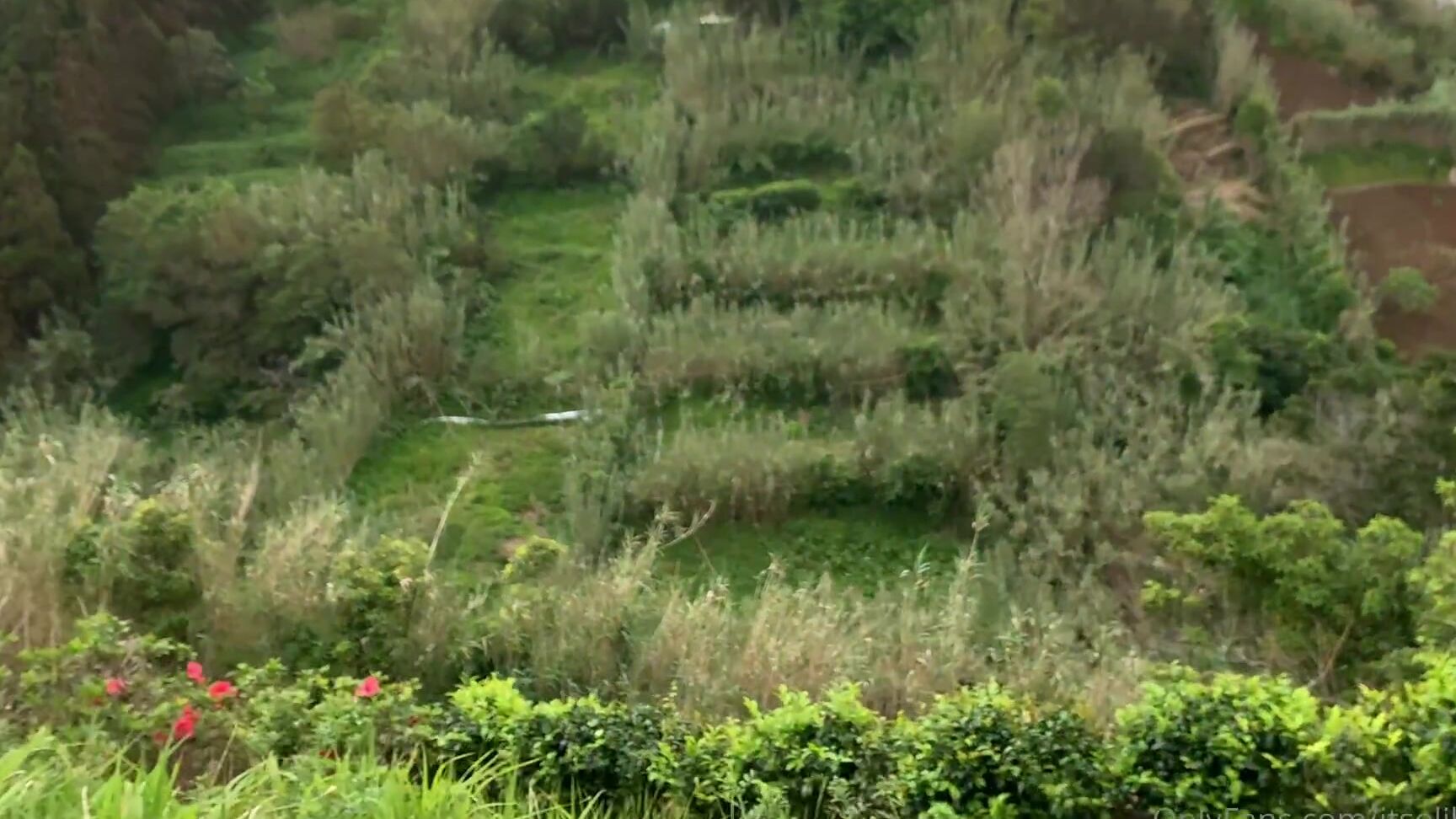 Itsoliheart Full Video Monday Is Min Video Day This Is A Very Relaxed One Actually It Is Pa