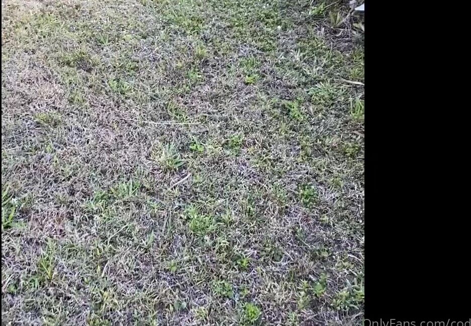 codilake-13-08-2021-2191666591-