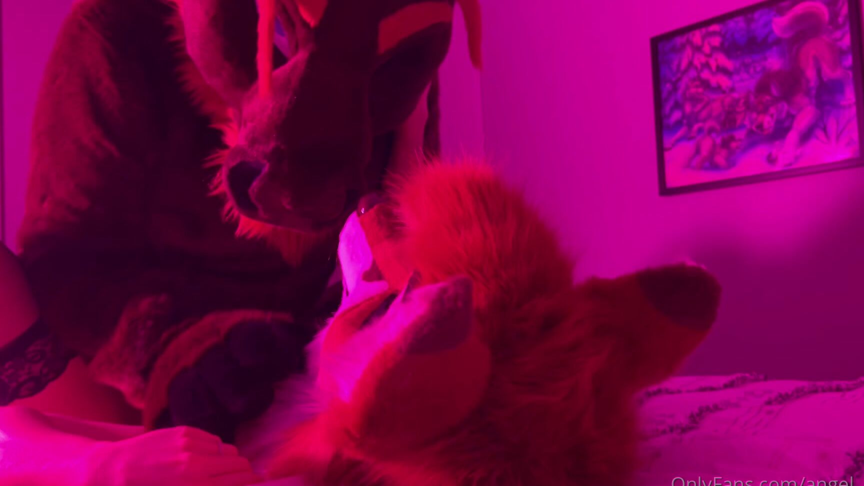 Angel Pups 532322209 Kicking Off The Weekend The Best Way Possible 01 906B7C36 30A6 4041 A7F4 A944Ec2253Ea