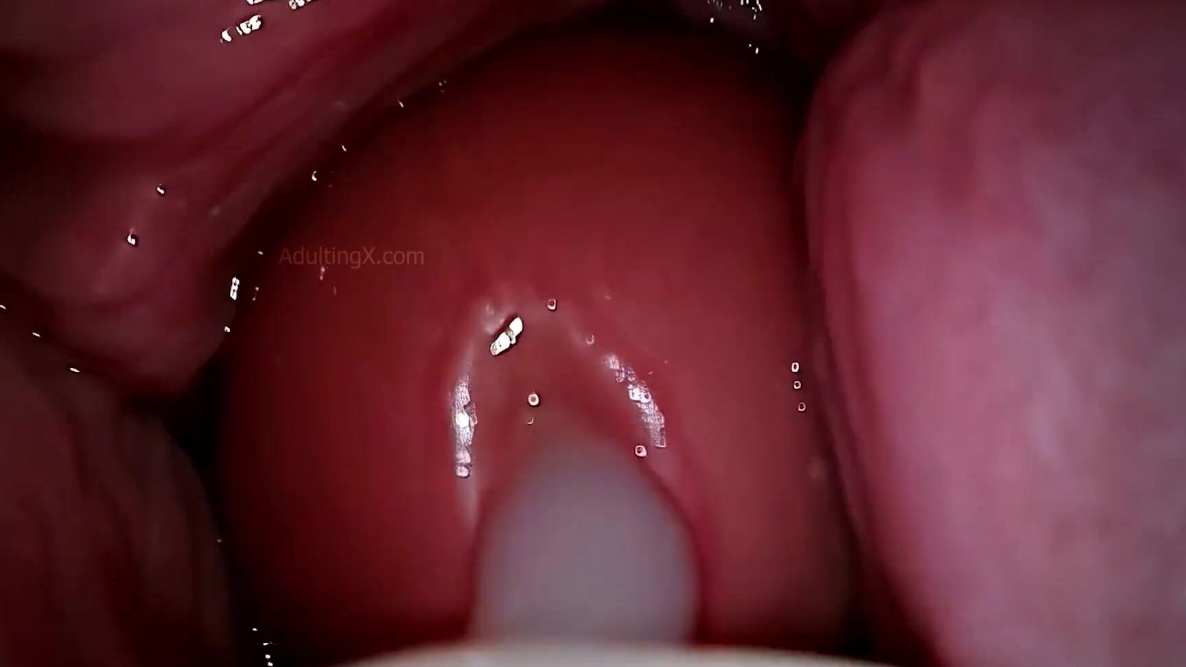 Adulting Camera in Vagina, Cervix POV, 'Creampie' Pornhub