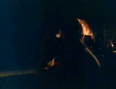 "Franklin Anthony, Rick Cassidy, Keith Erickson, John Holmes, Betty Hunt, Ric Lutze, Samantha McLaren, Sylvia Reasoner, Karen Stacy, Paula Stone" Hardcore Sex The Life and Times of the Happy Hooker Video X Pix