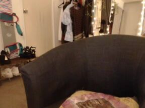 Missalice 94 Mfc 201509082308