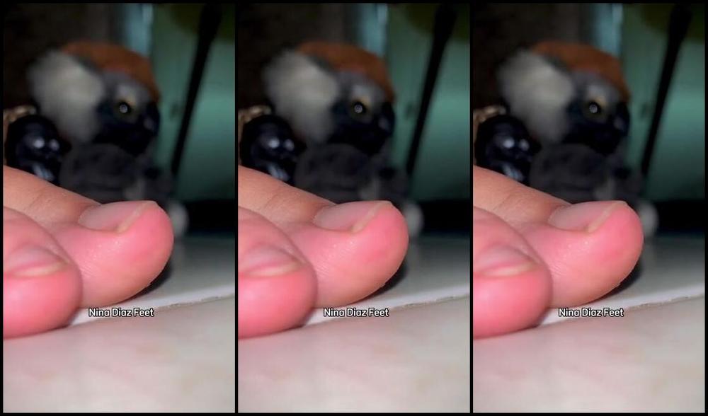 Nina S Feet Nicknamed Ninadiaz Feet Onlyfans Pov Giantess Feet Steps On A Tiny Car Giantess Nina Finds Tiny Car In Her