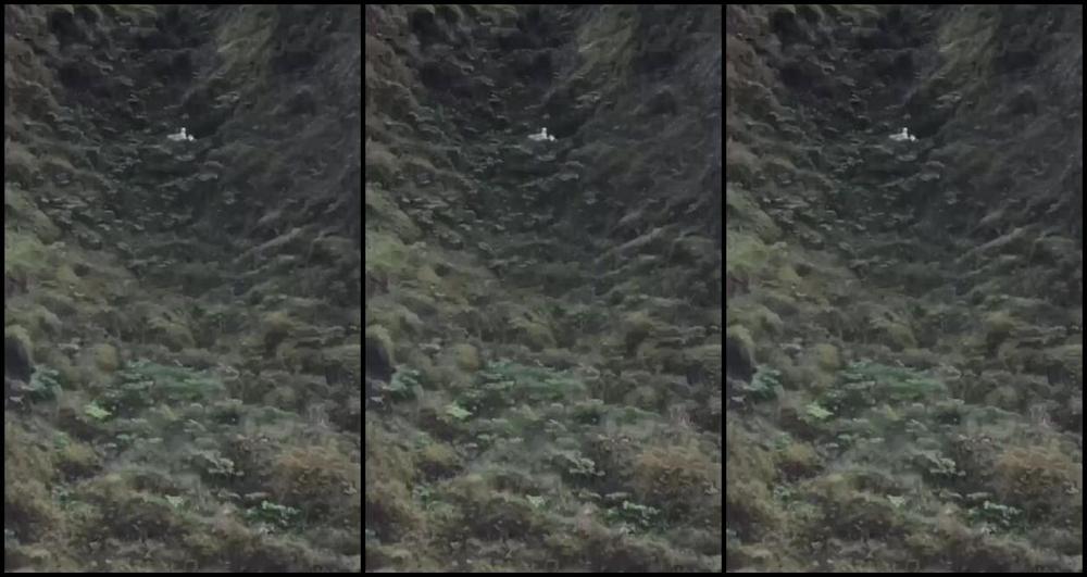 "HARPERMADI" shower, outdoors, public flashing, vlog 293 a week in iceland manyvids