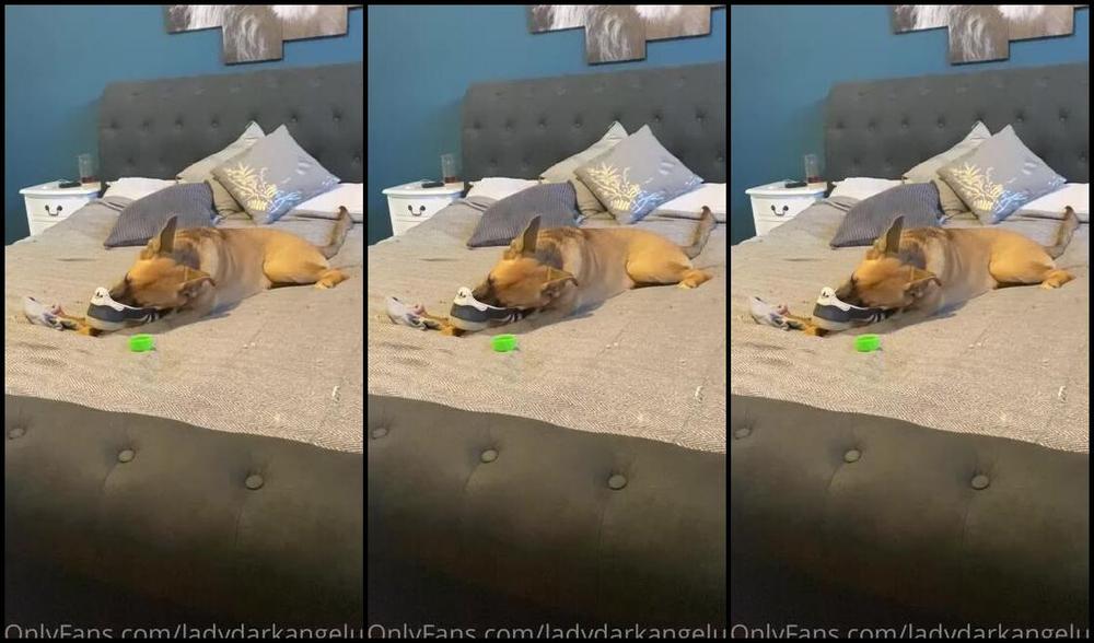 Ladydarkangeluk Onlyfans Video 64