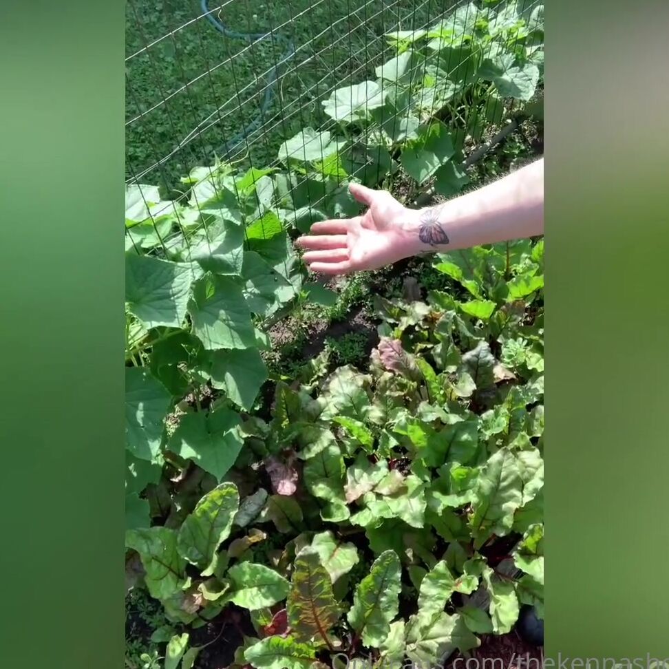 Thekennashow The Garden Is In Full Swing So