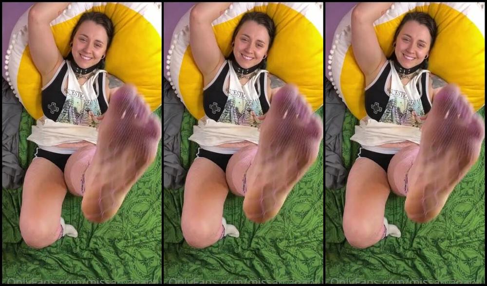 Missarcanaplus Nicknamed Missarcanaplus Onlyfans 12 22 Obviouslyyyyy Its Normal To Wear Socks Over Top Of Fishnets Right Or Am I Just That Uniq 5