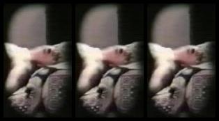 "Marina Hedman, Sabrina Mastrolorenzi, Sandy Samuel" Feature, Classic Ninfomania Albergo a Ore La D.I.E.F. Cinematografica