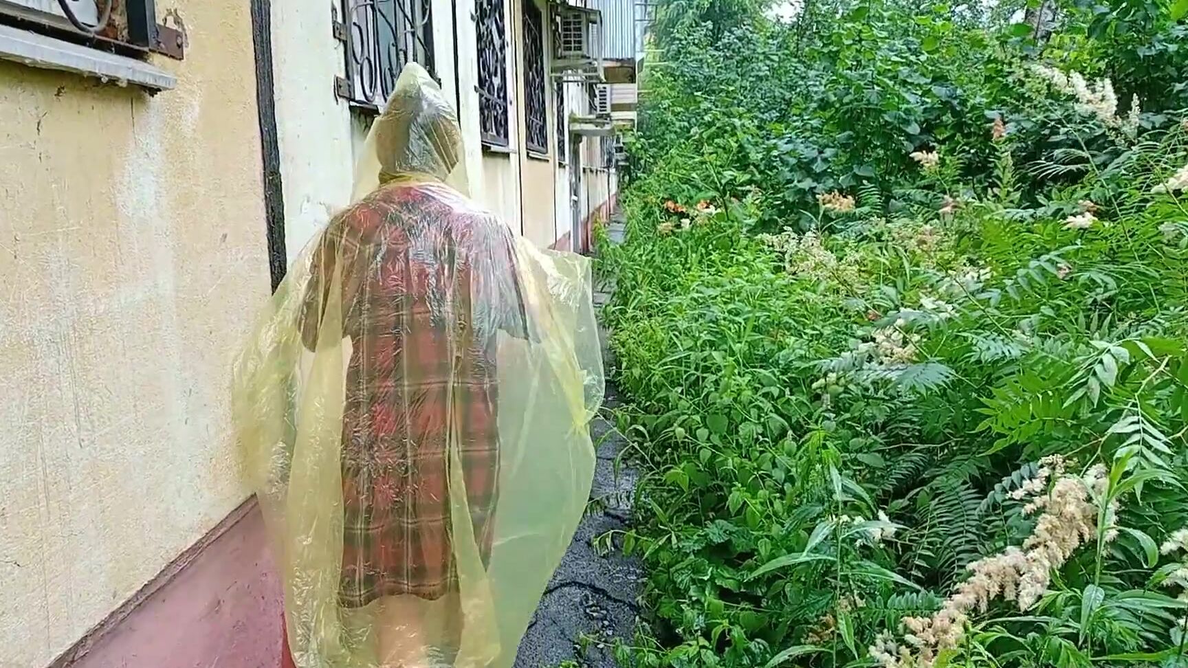 Juli Smith Meow Walking In A Raincoat