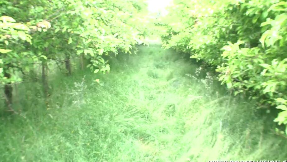 "Shainez Diab, Nelie, HPG, Coralie, Doryann Marguet" Groupe, Orgie, Anal Beurettes ouvertes 24h HPG Prod / Digital Playground / Dorcel Europe