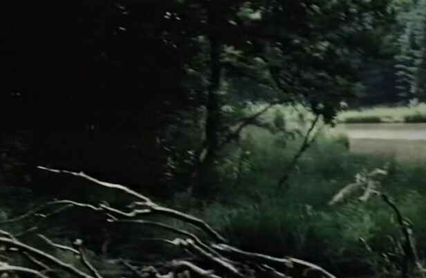 "Bea Fiedler, Biggi Stenzhorn, Dorle Buchner, Liselotte Mann, Monika Sandmayr, Ursula Gaussmann, Malte Rens, Hanno Mohr, Manfred Ending, Thomas Moll" Classic, All Sex Schulmädchen Porno II Mädchen, Die's Wissen Wollen Love Film Productions